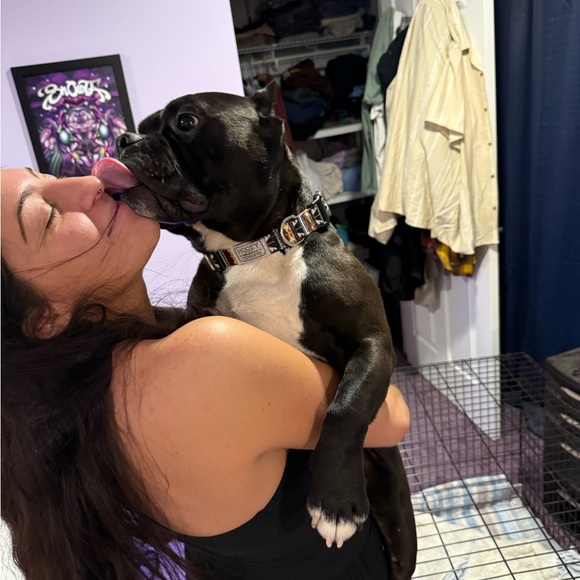 Meet your Posher, Luke - Picture 5 of 10